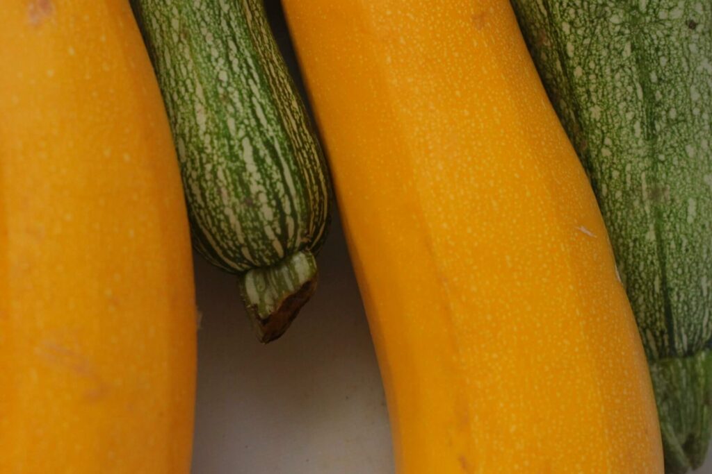 groene en gele courgettes - leg geen komkommers of courgettes achter je kat