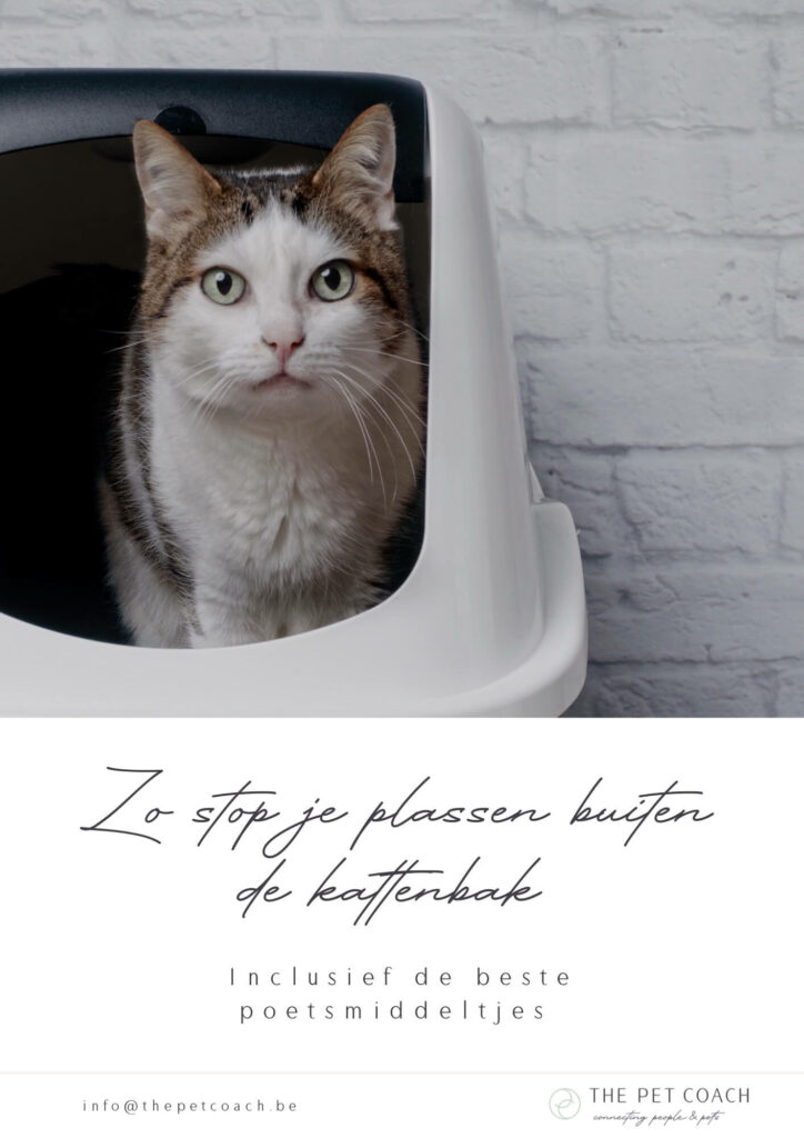 Gratis aanbod - Voorpagina van het e-book Zo stop je plassen buiten de kattenbak
