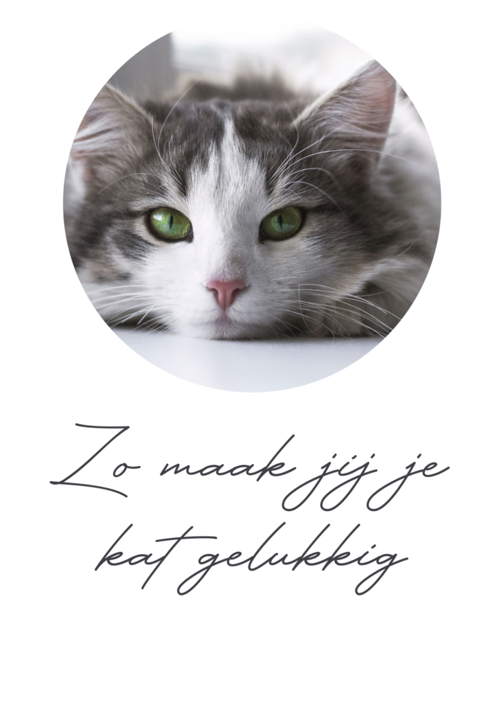 Kat met felgroene ogen