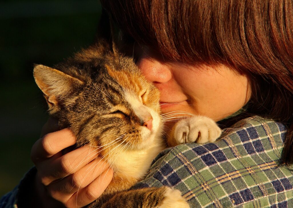 Lichaamstaal bij kammen - Vrouw die kat knuffelt in de zon
